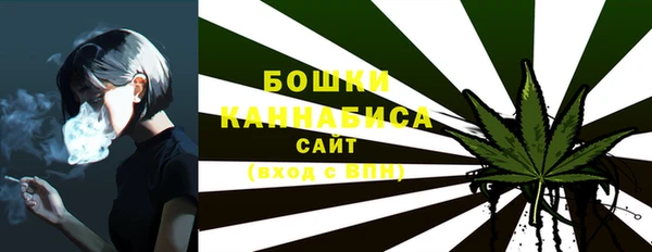 ALPHA PVP Белокуриха