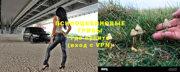 ALPHA PVP Белокуриха