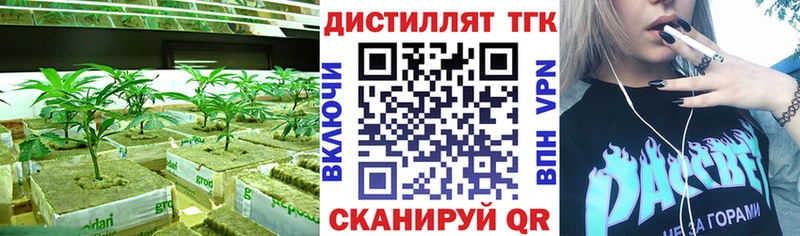 закладка  Высоцк  Дистиллят ТГК концентрат 