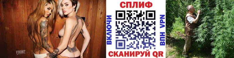 Бошки марихуана марихуана  наркошоп  Высоцк 